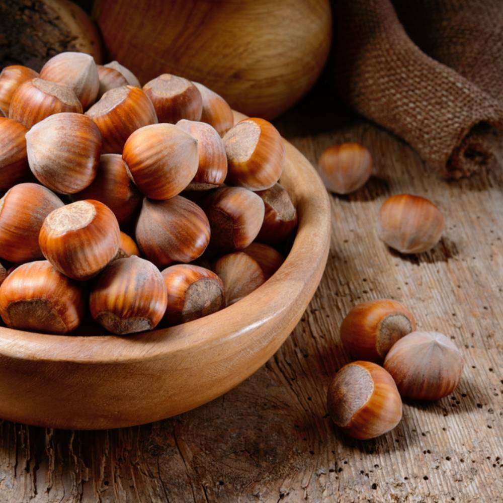 Shelled raw hazelnuts