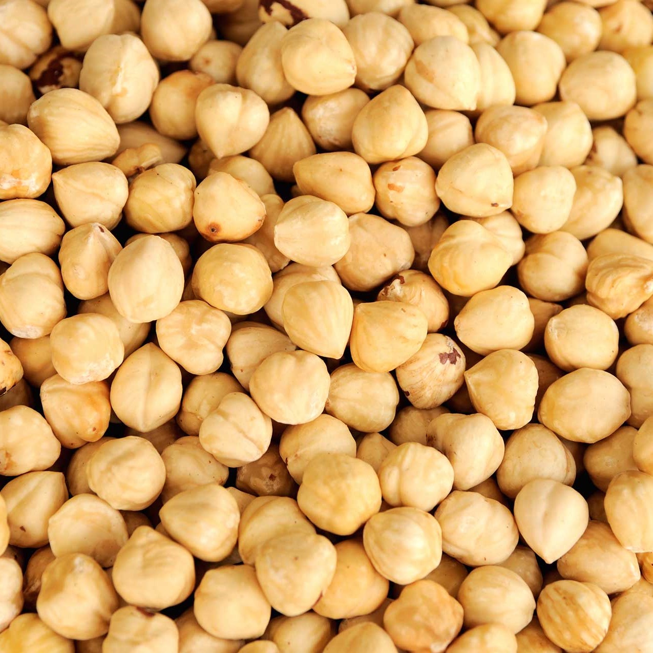 Roasted hazelnut kernels